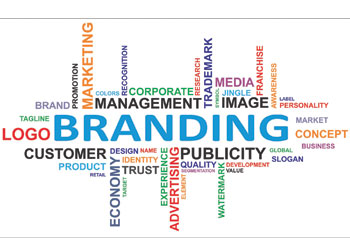 Branding and Marketing by Stacy Westervelt at Westervelt Design